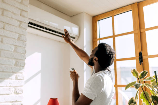 Best Local HVAC companies  in Friendswood, TX
